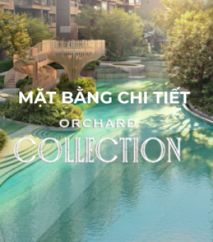 Mặt bằng tầng chi tiết Orchard Collection - Sycamore Bình Dương