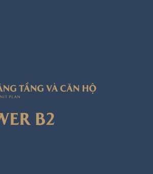 Mặt bằng toà B2 - Masteri Cosmo Central