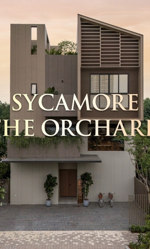 SYCAMORE BÌNH DƯƠNG